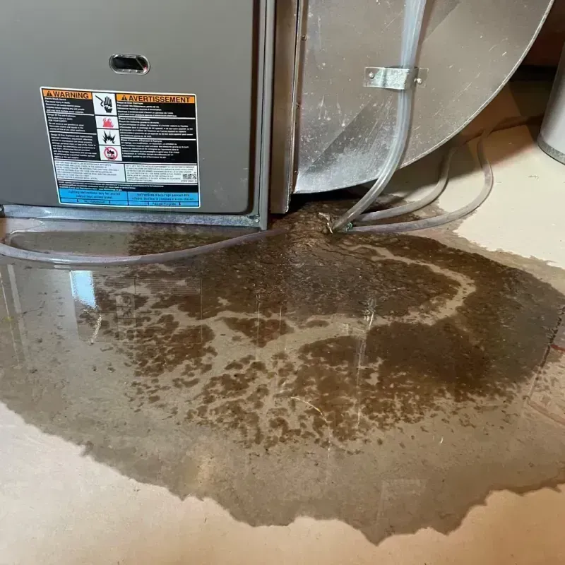 Appliance Leak Cleanup in Brownsville, KY